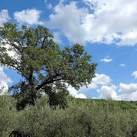 La Quercetta 4*
