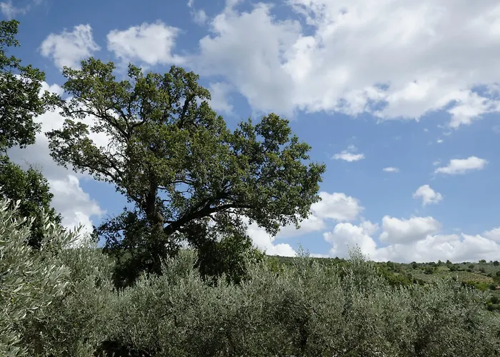 Feriested La Quercetta